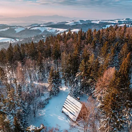 Dom wakacyjny Pohorska Gozdna *