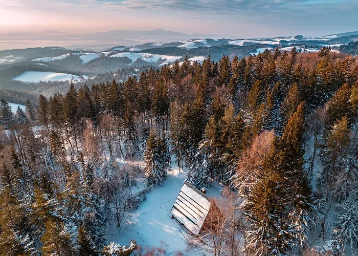 بيت للعطل Pohorska Gozdna *